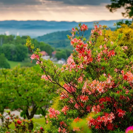 Habitación en casa particular Willa Gazdówka kameralny nocleg ze śniadaniem Szklarska Poręba Szklarska Poręba