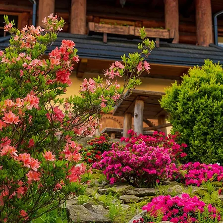 Homestay Willa Gazdowka Noclegi Szklarska Poreba Sniadania Wanna Termalna Szklarska Poreba